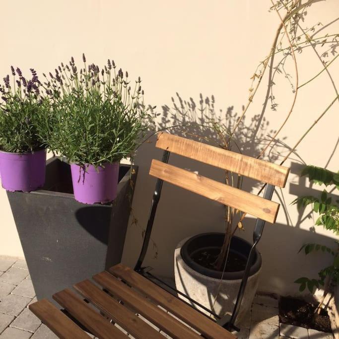 Le Clos De Beauchamp Appartement Le Bord De Mer 2 Velos Sont Disponibles Gratuitement Saint-Valéry-sur-Somme Zewnętrze zdjęcie